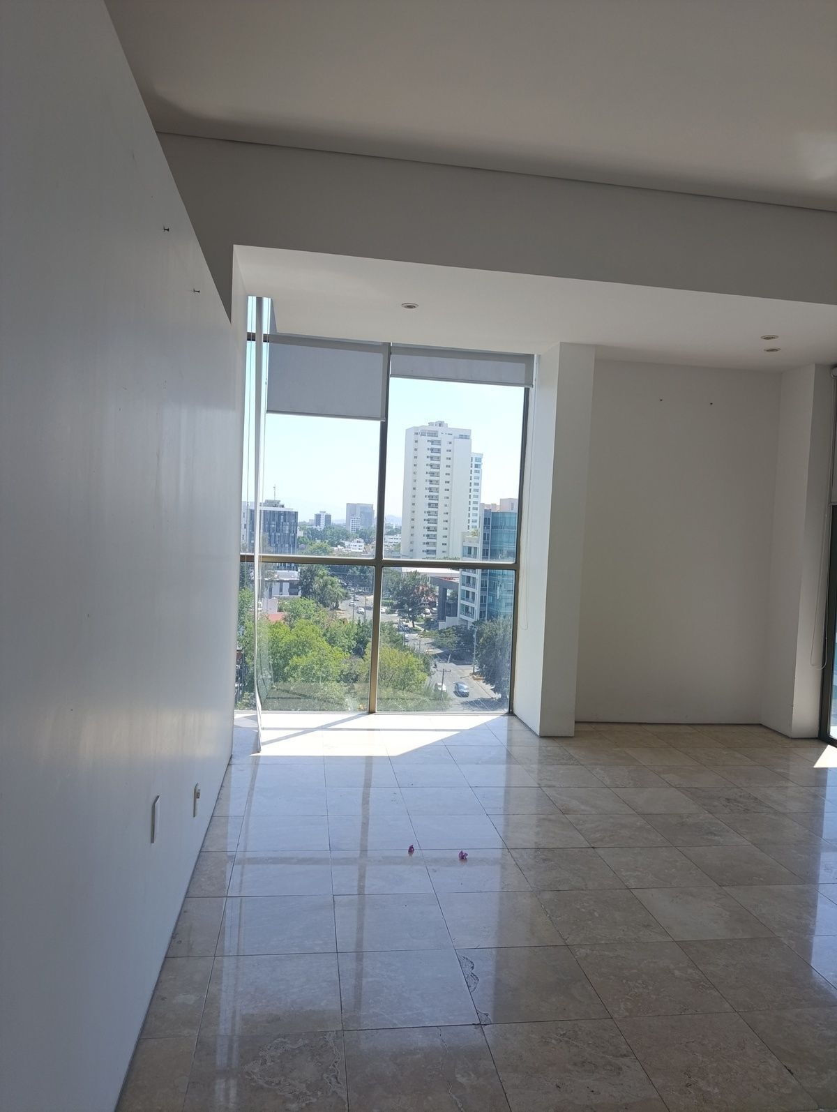 16 de 29