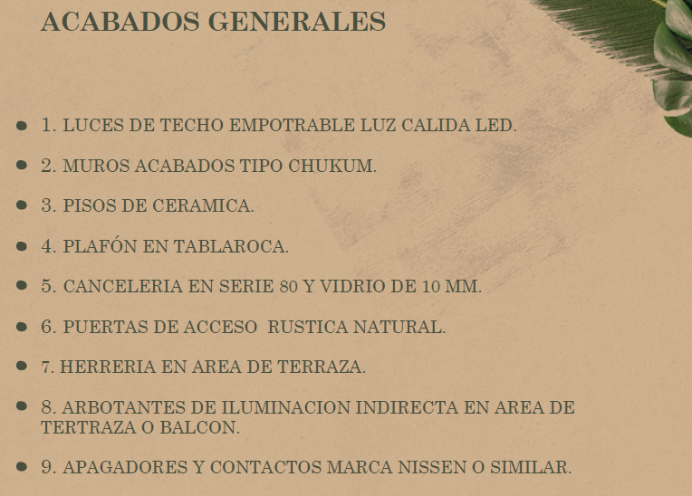 11 de 17