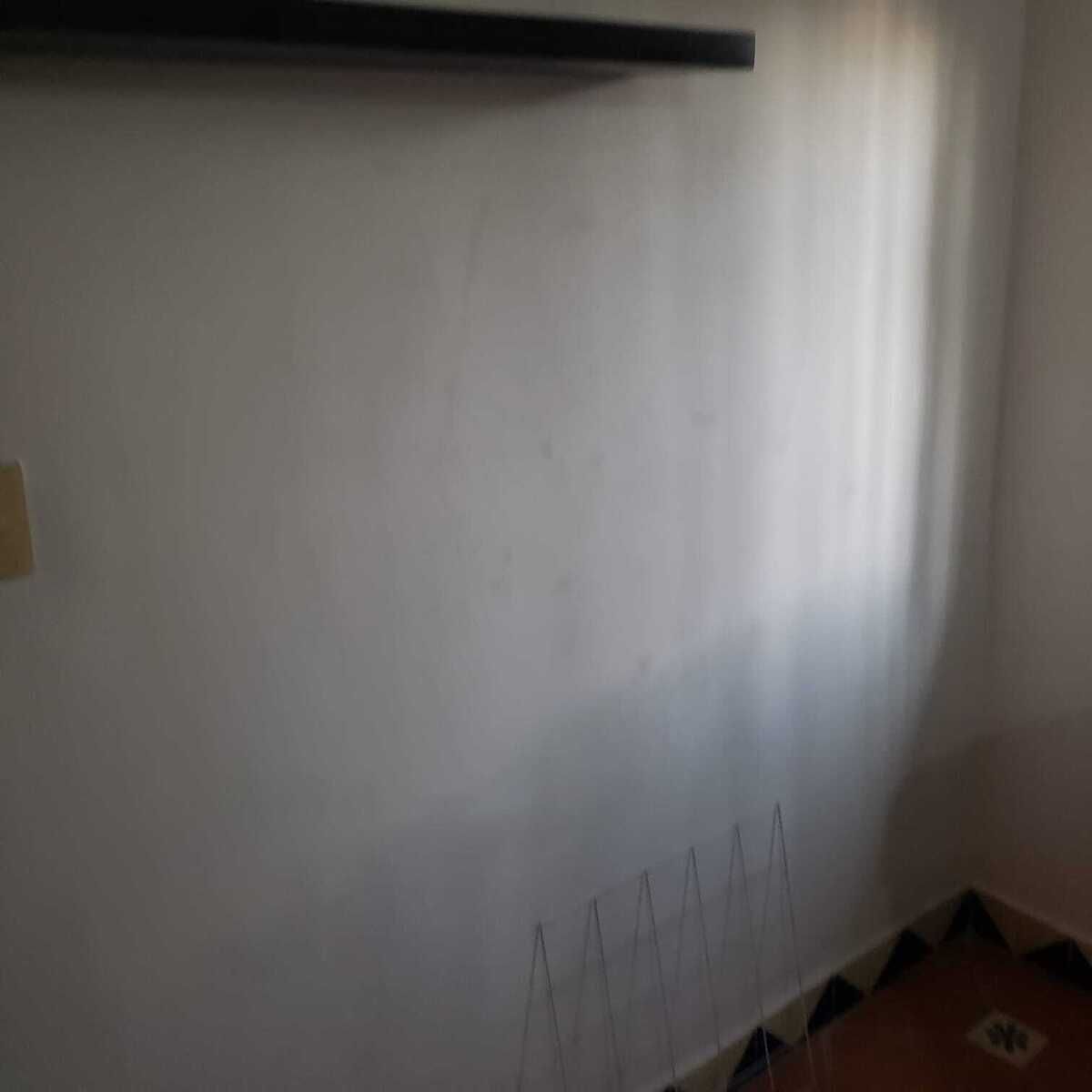 6 de 40