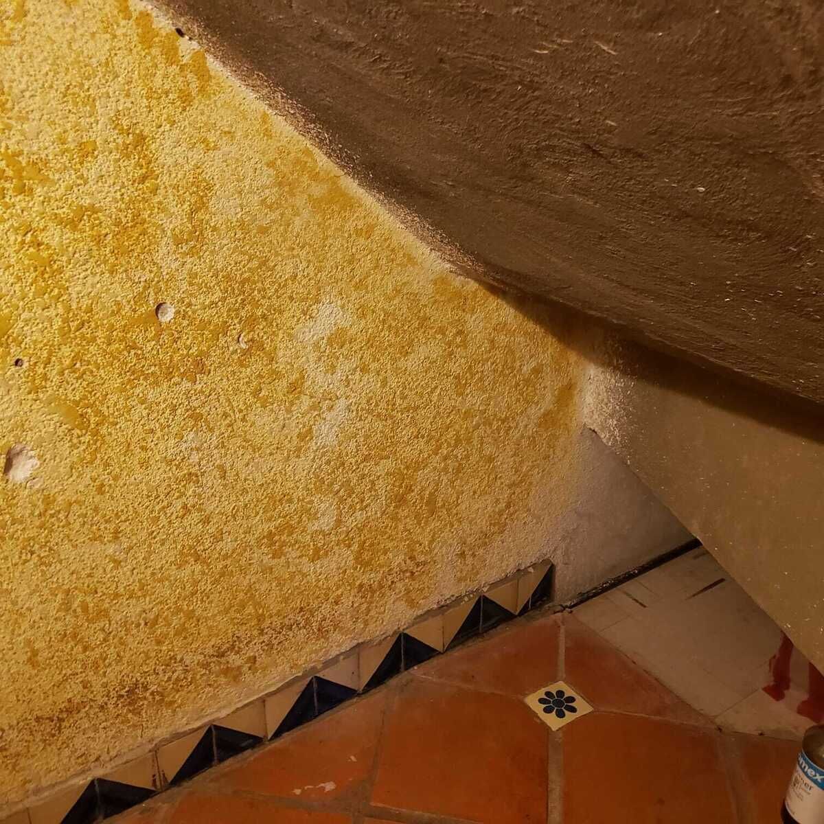 28 de 40