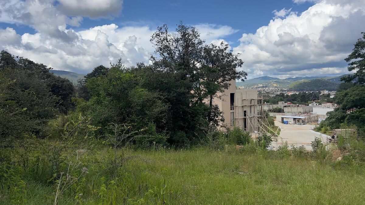 5 de 11