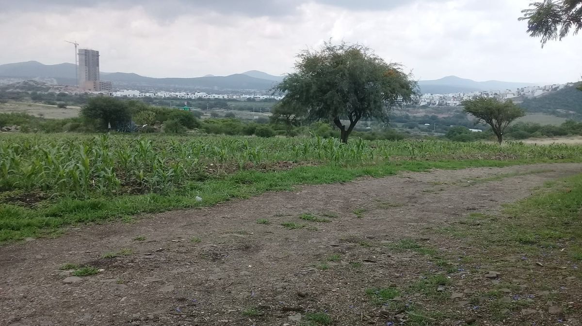 2 de 8