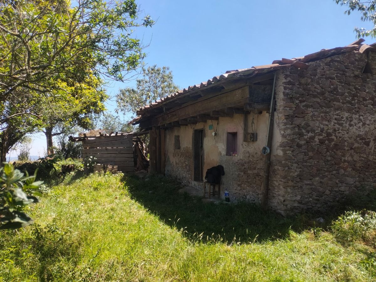 2 de 6