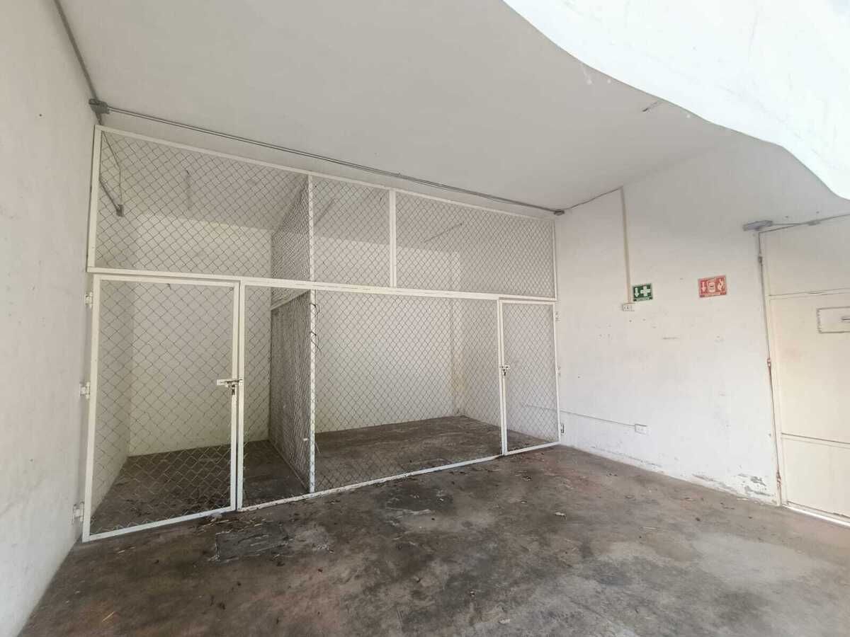 8 de 28
