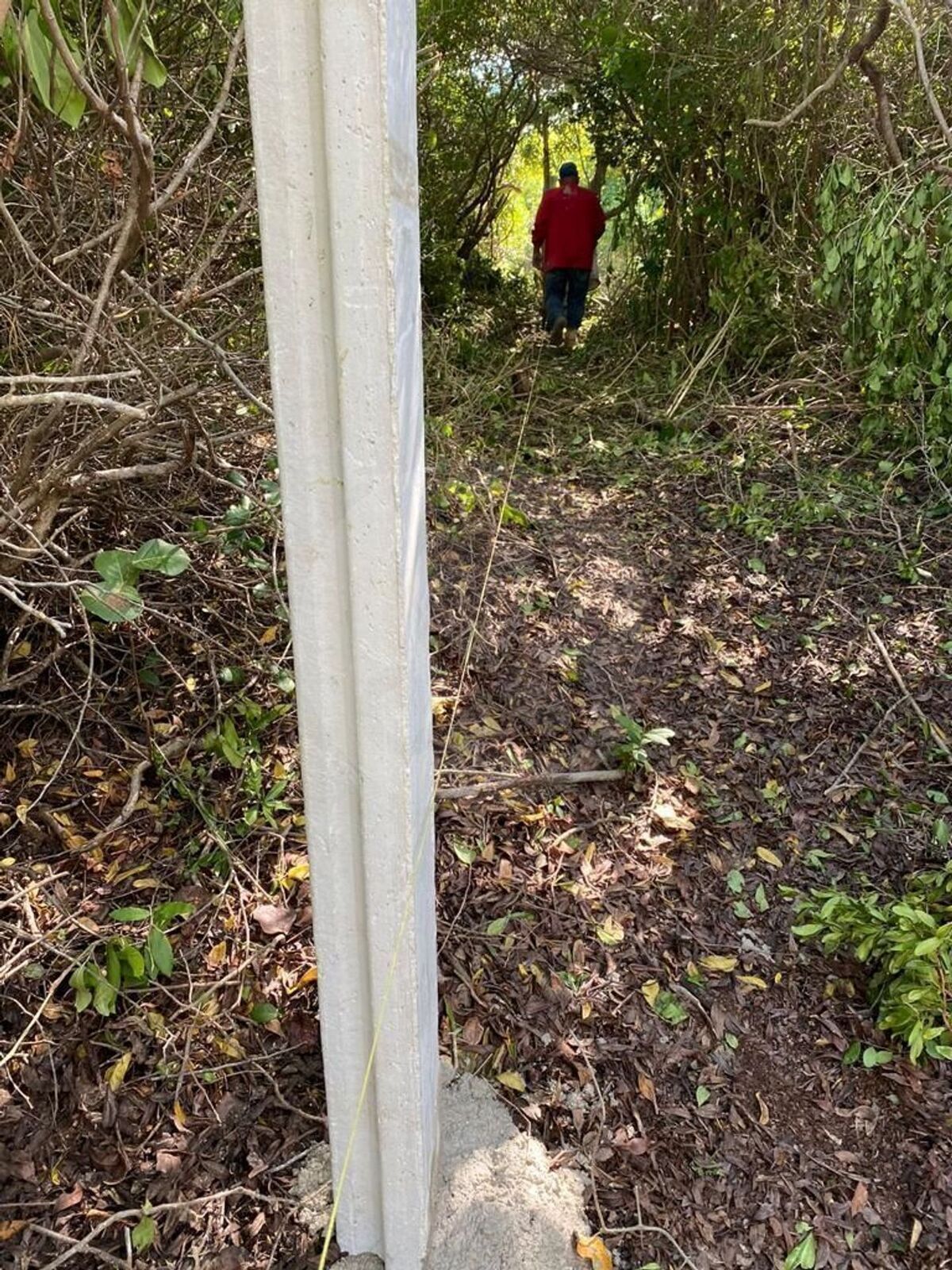 9 de 11