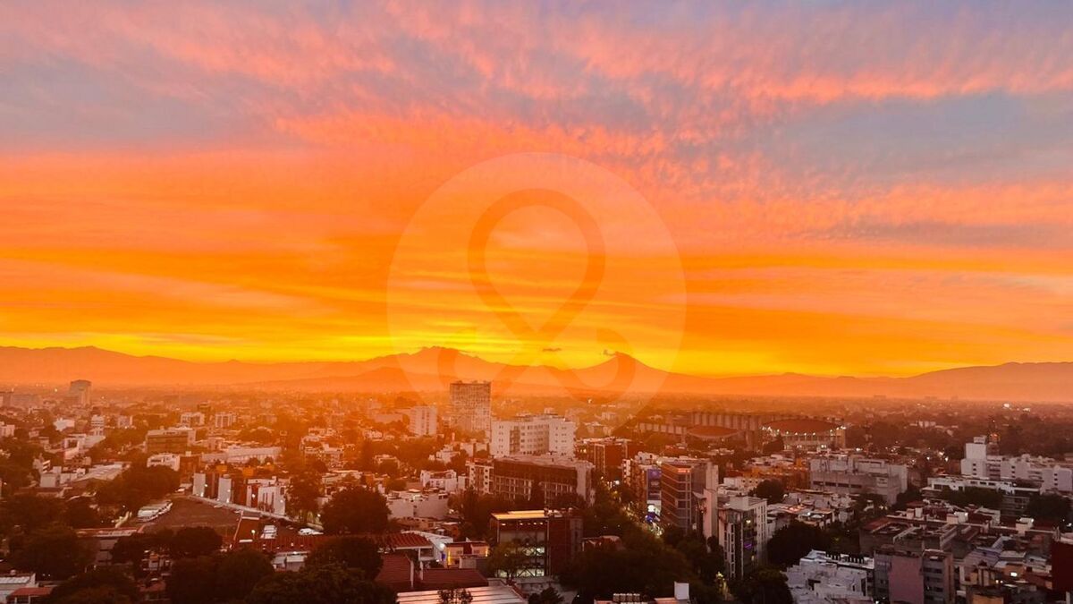 3 de 16
