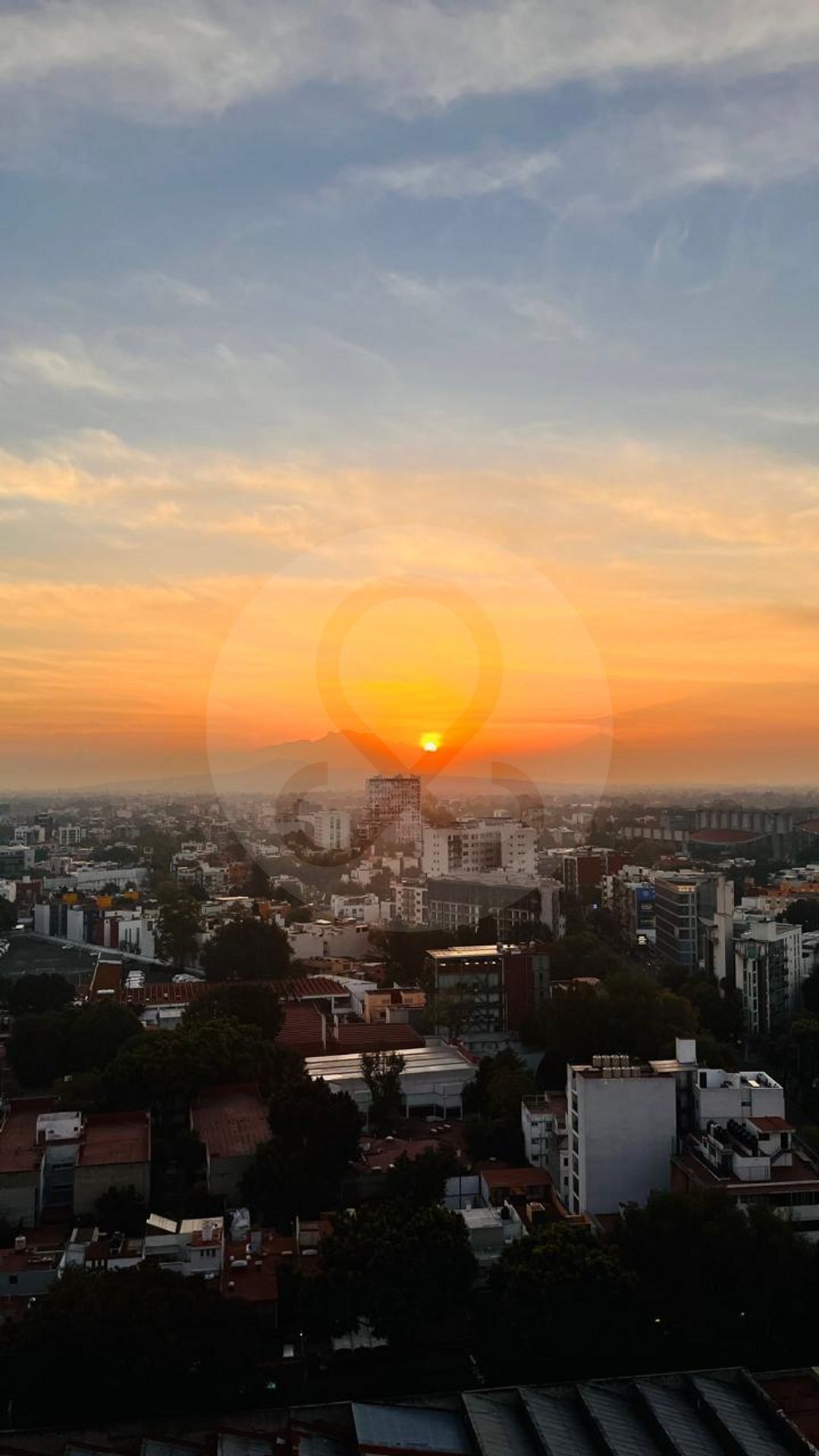 6 de 16
