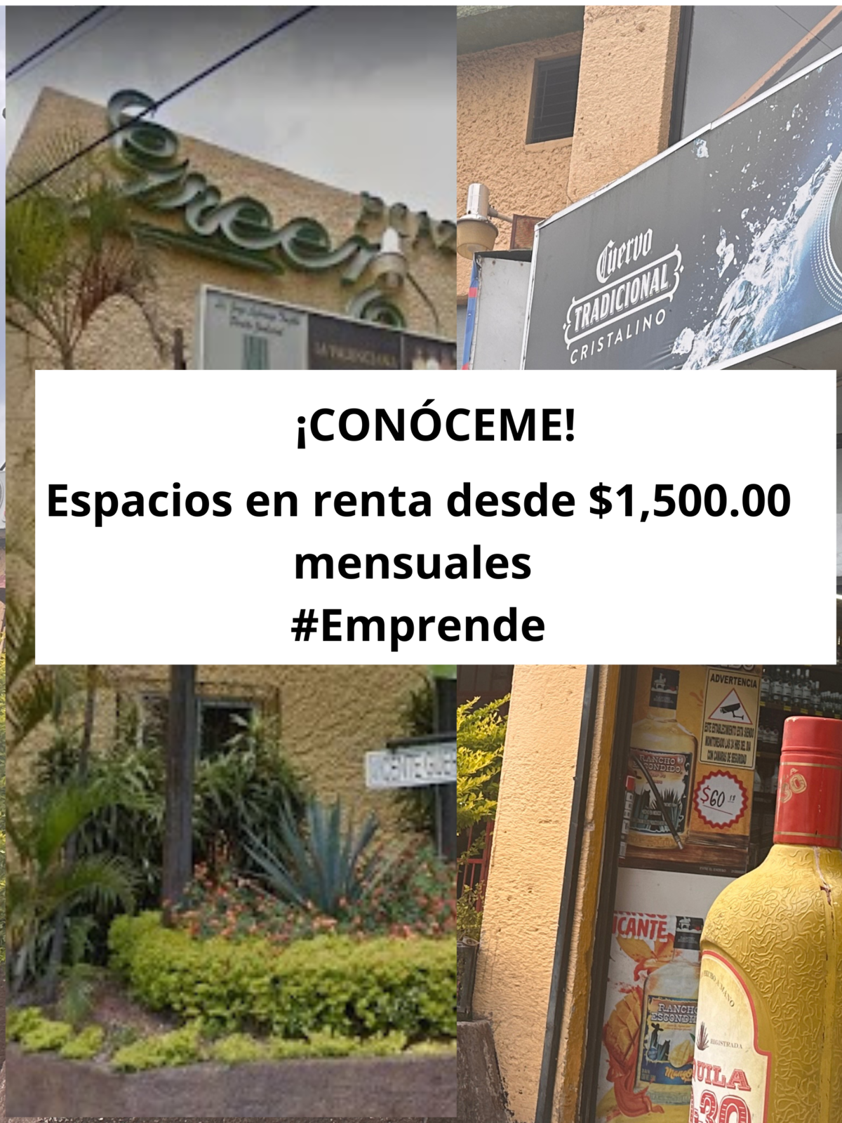 1 de 12: Green Plaza Vicente Guerrero