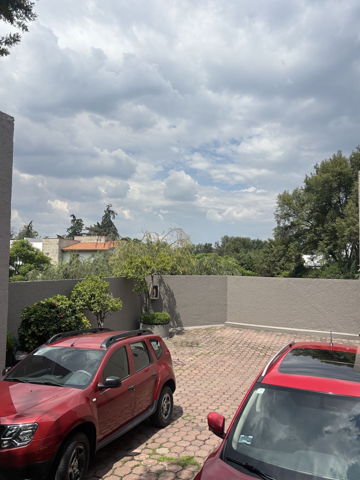 7 de 38