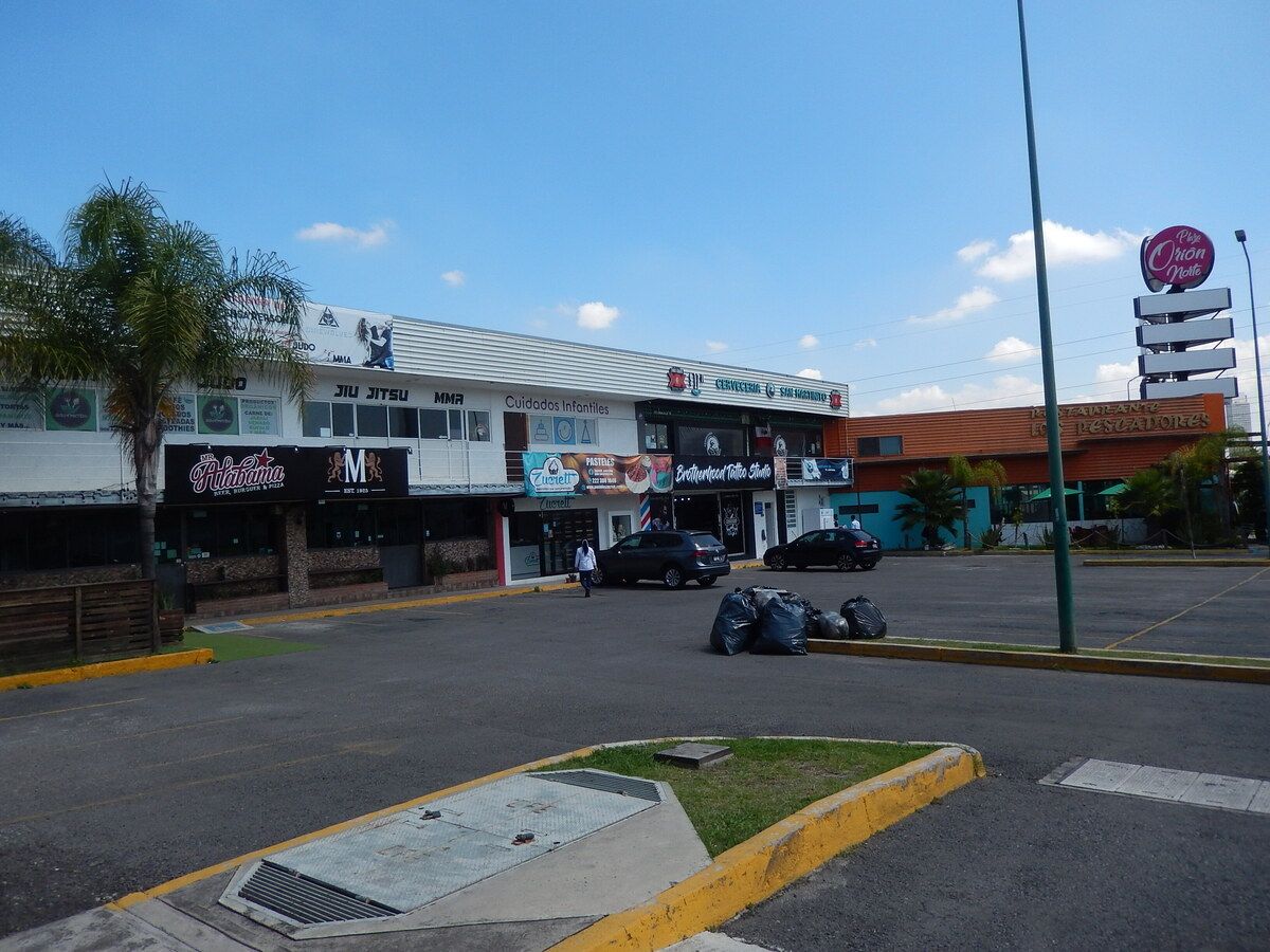 6 de 16