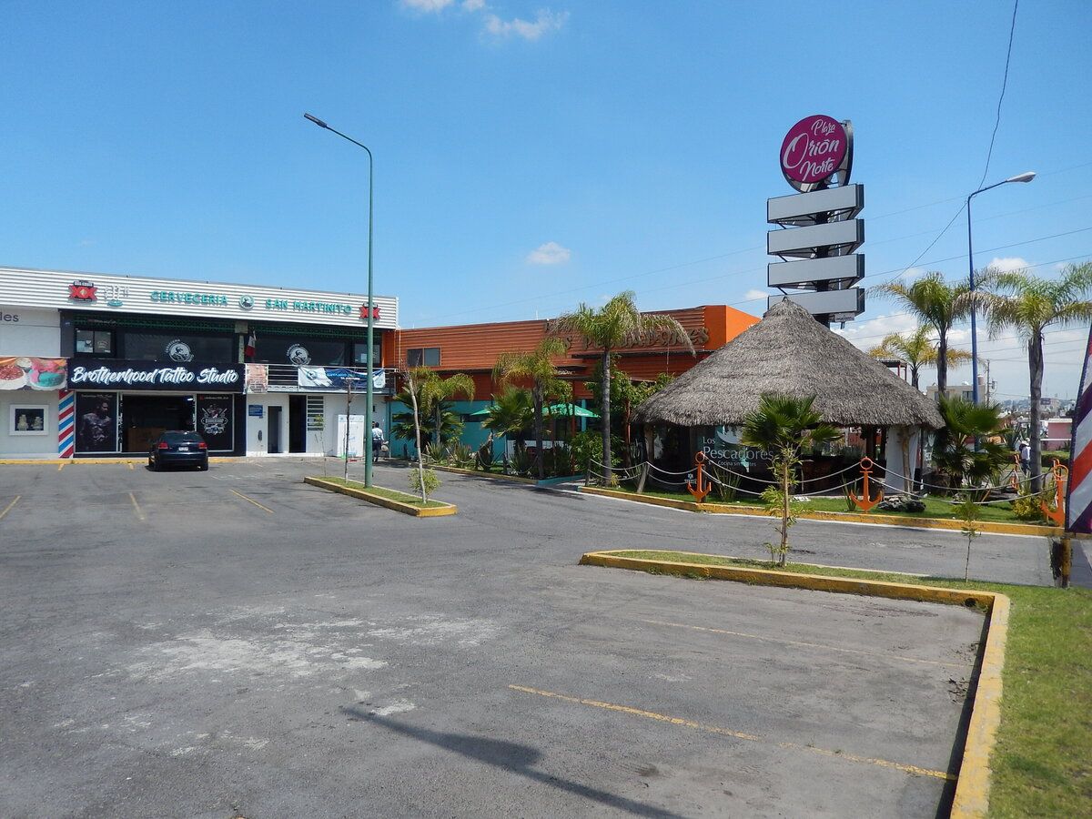 8 de 16