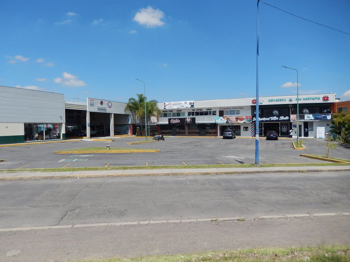 11 de 16