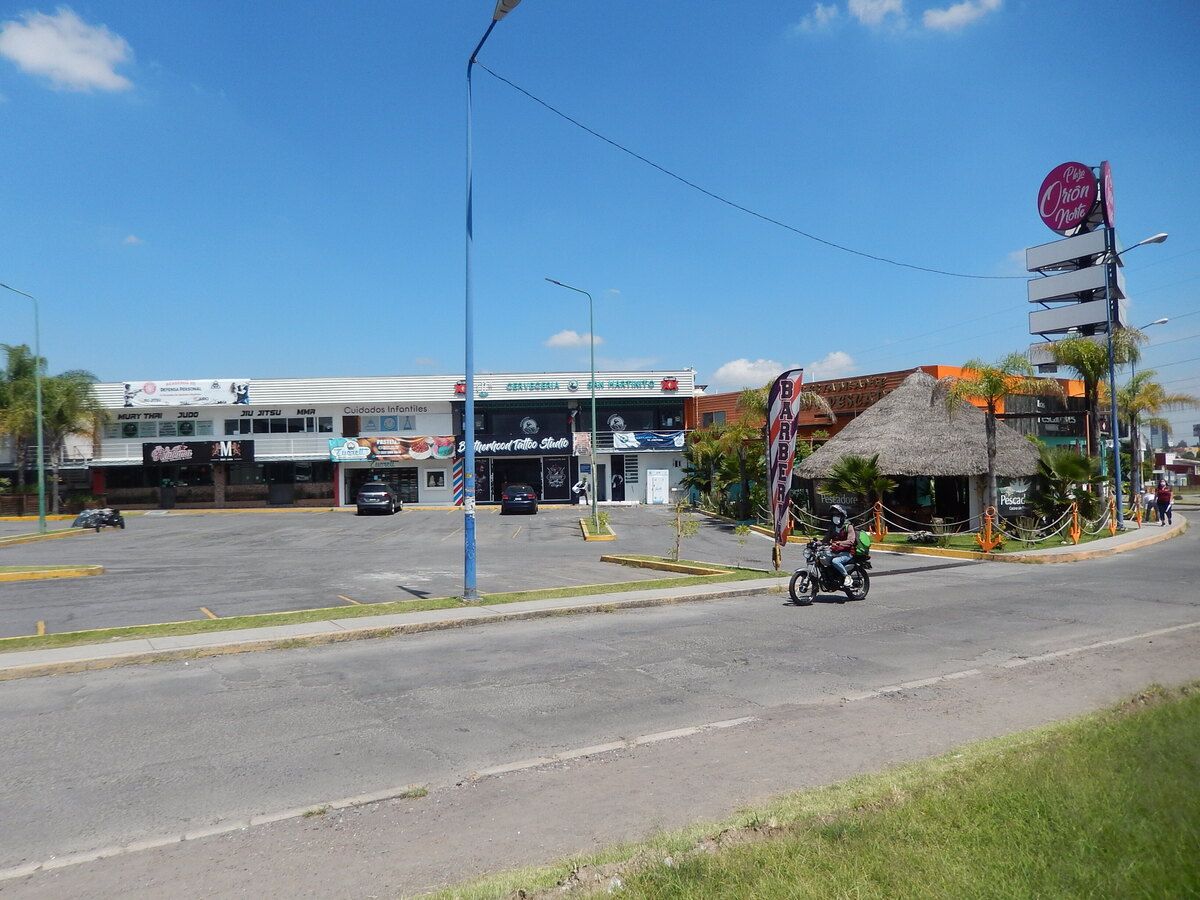12 de 16