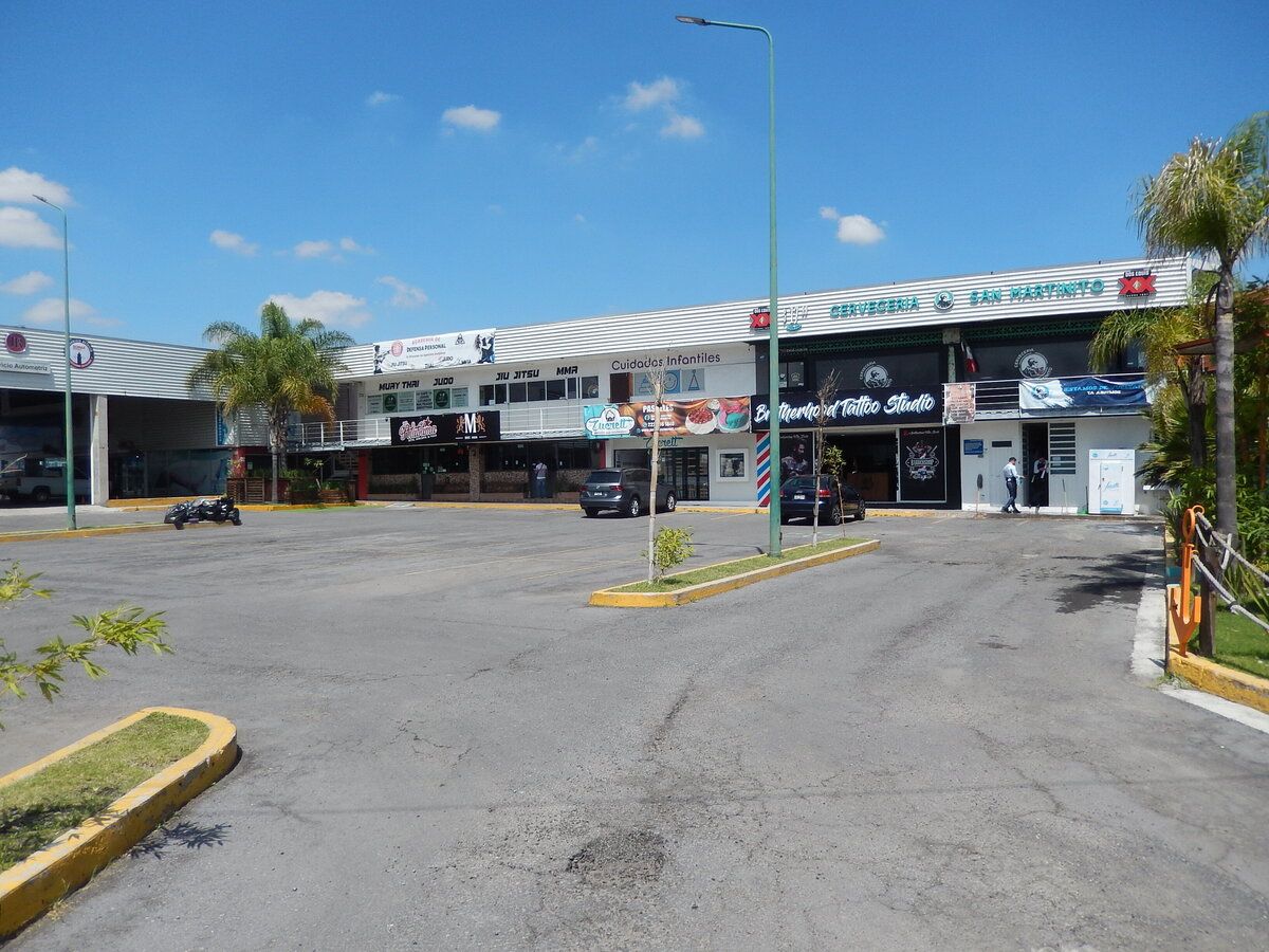 13 de 16