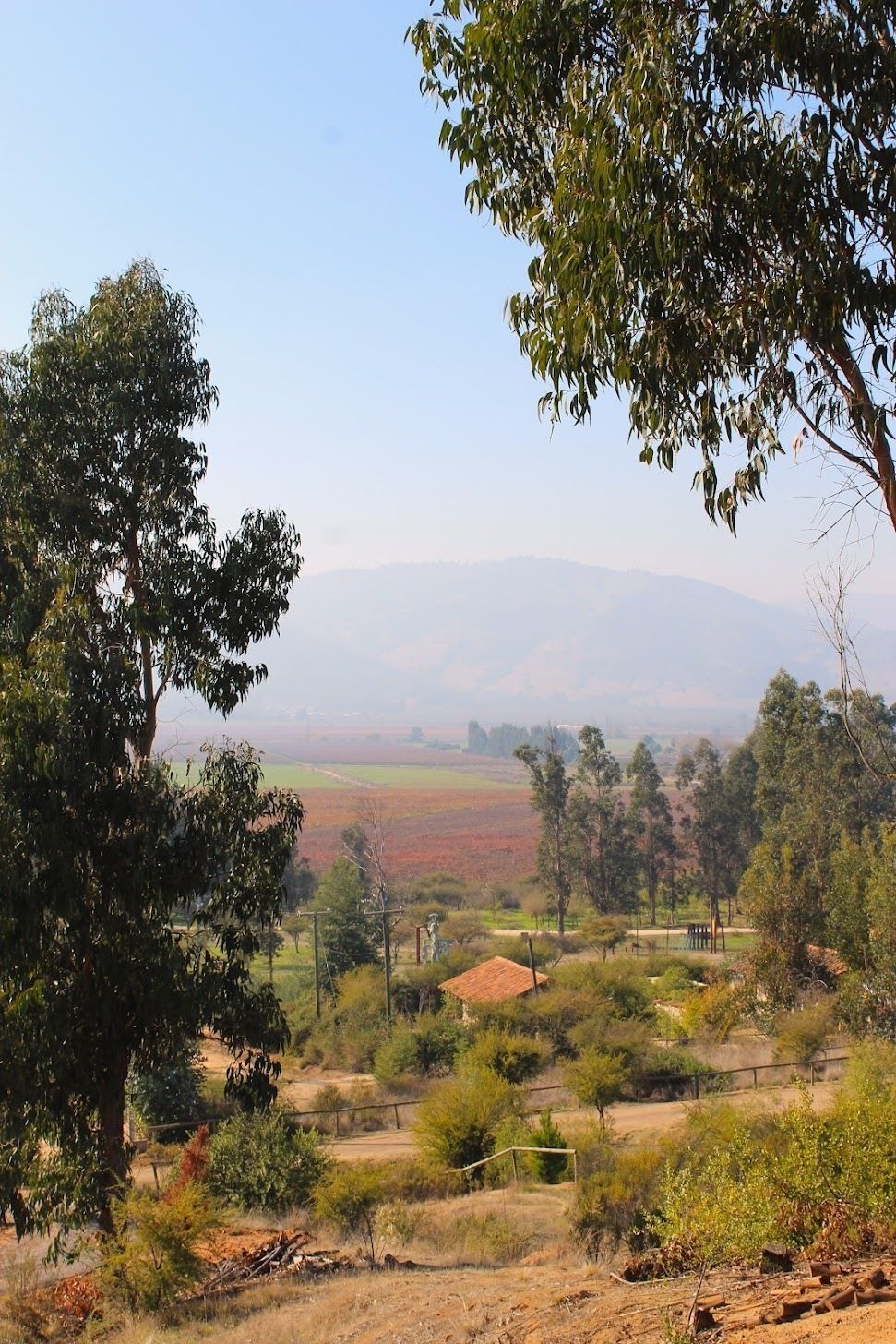 1 de 38: Vista desde el terreno
