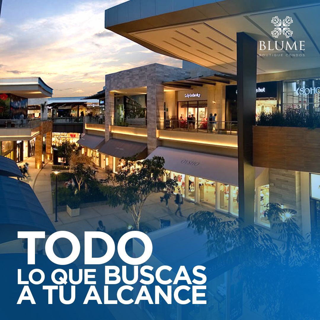 24 de 25
