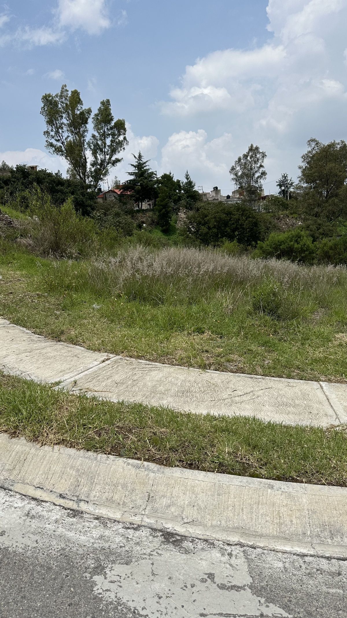 2 de 21