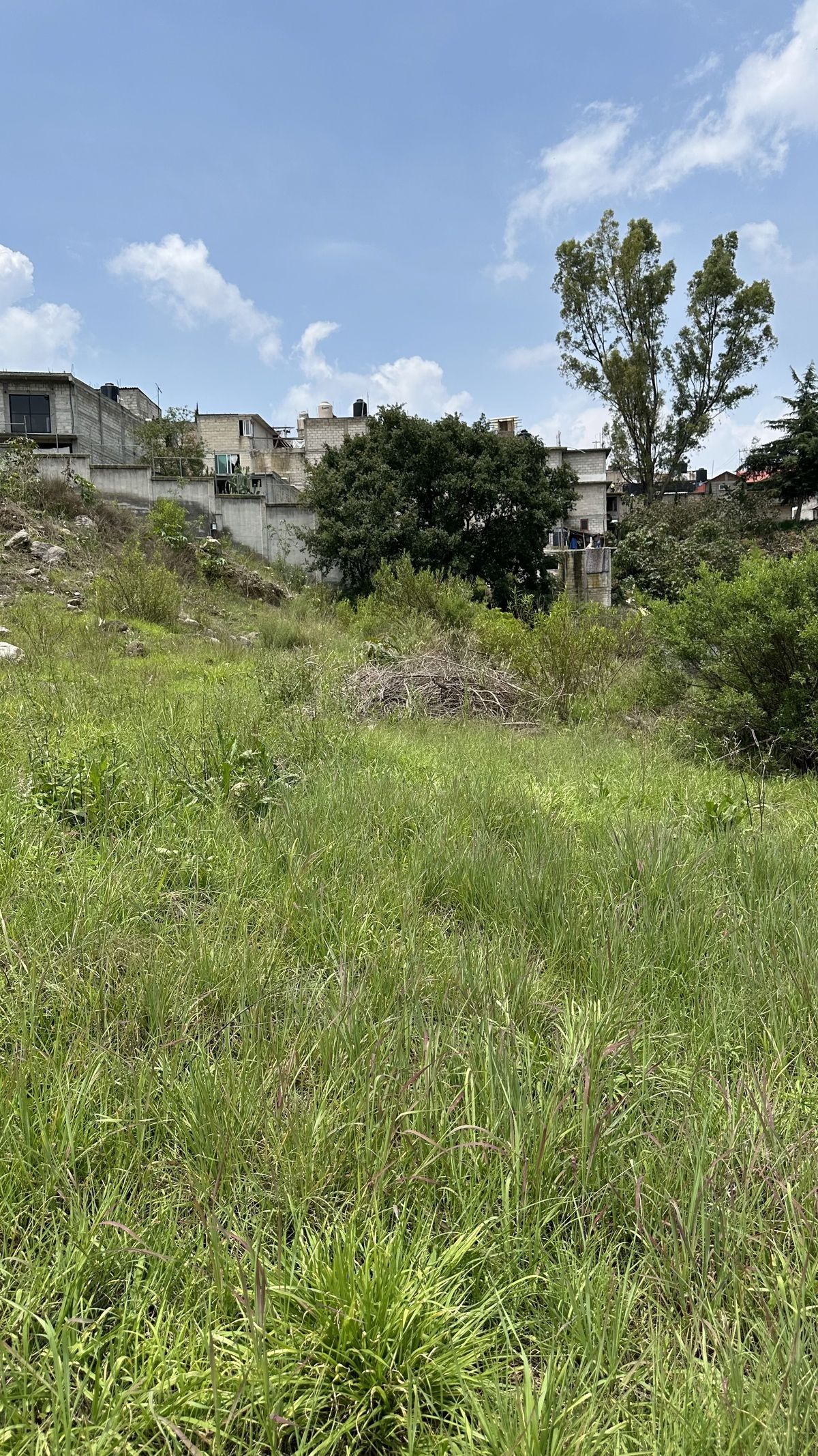 8 de 21