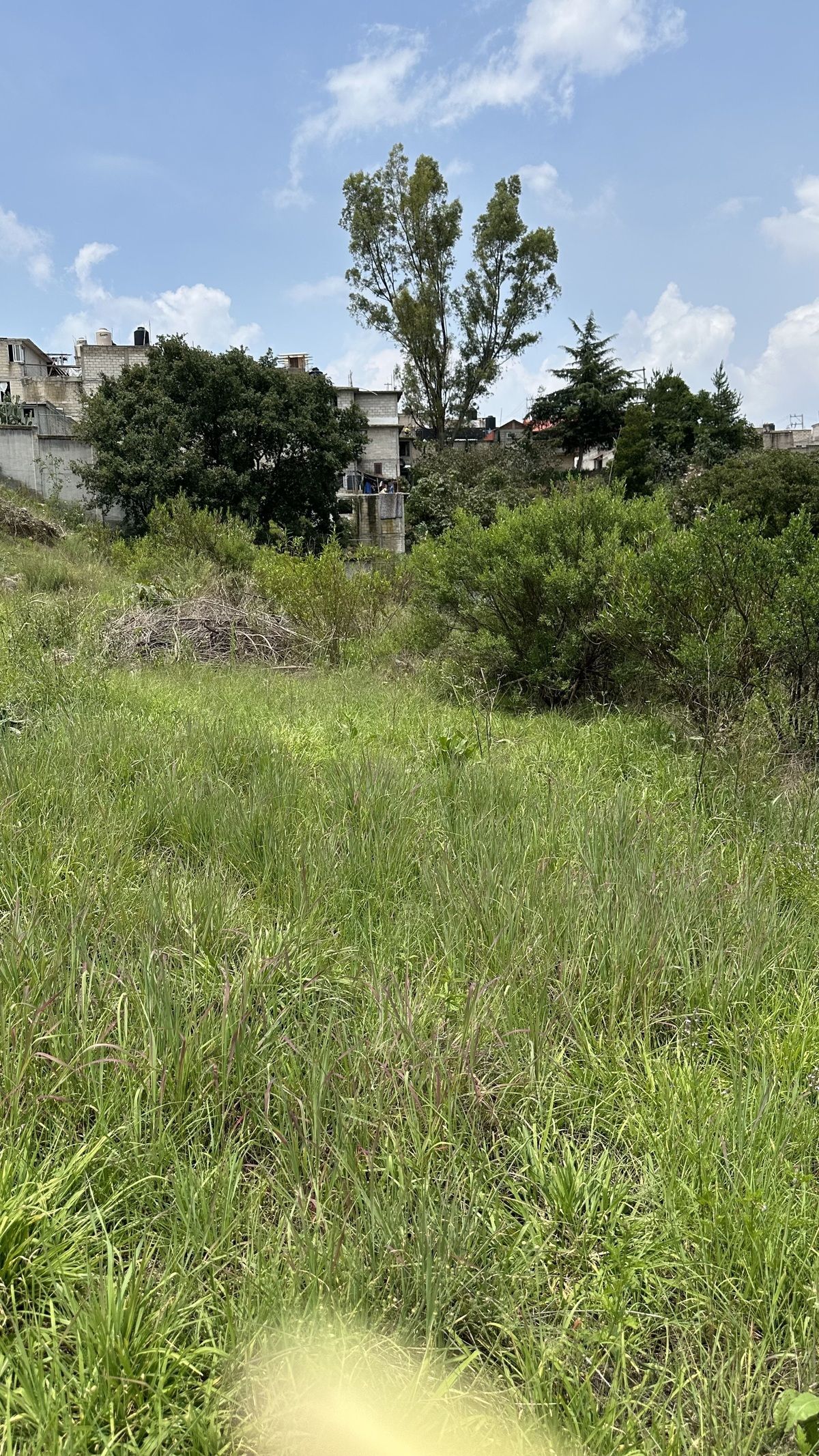 13 de 21