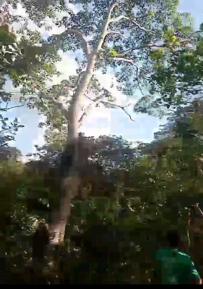 4 de 4
