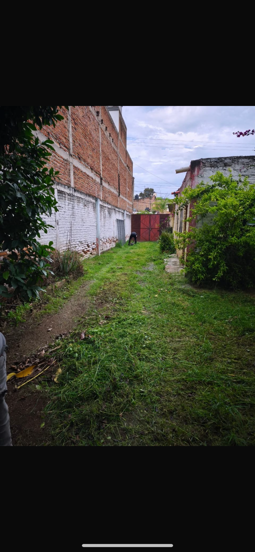 2 de 6