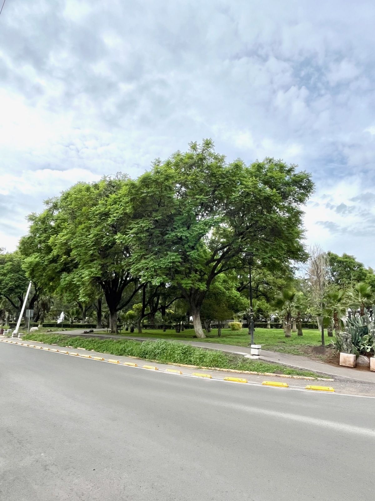 2 of 20: parque