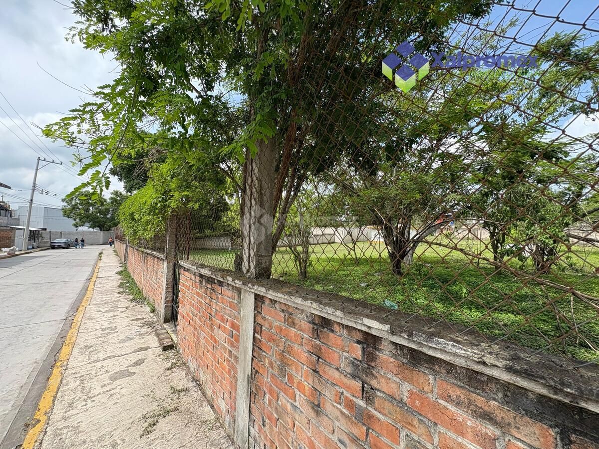 Imagen 6 de 7