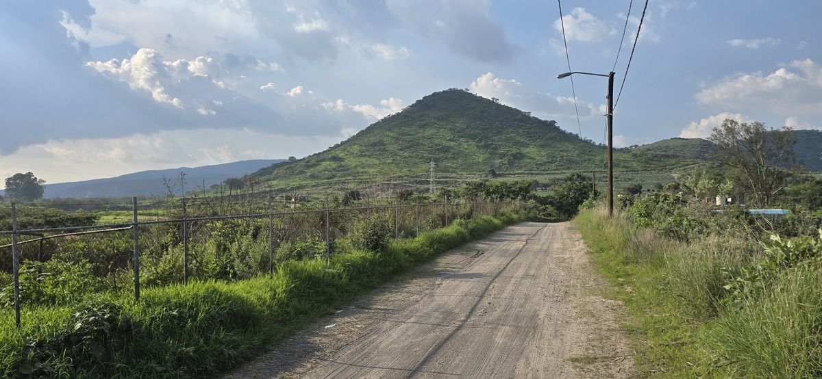 1 de 21