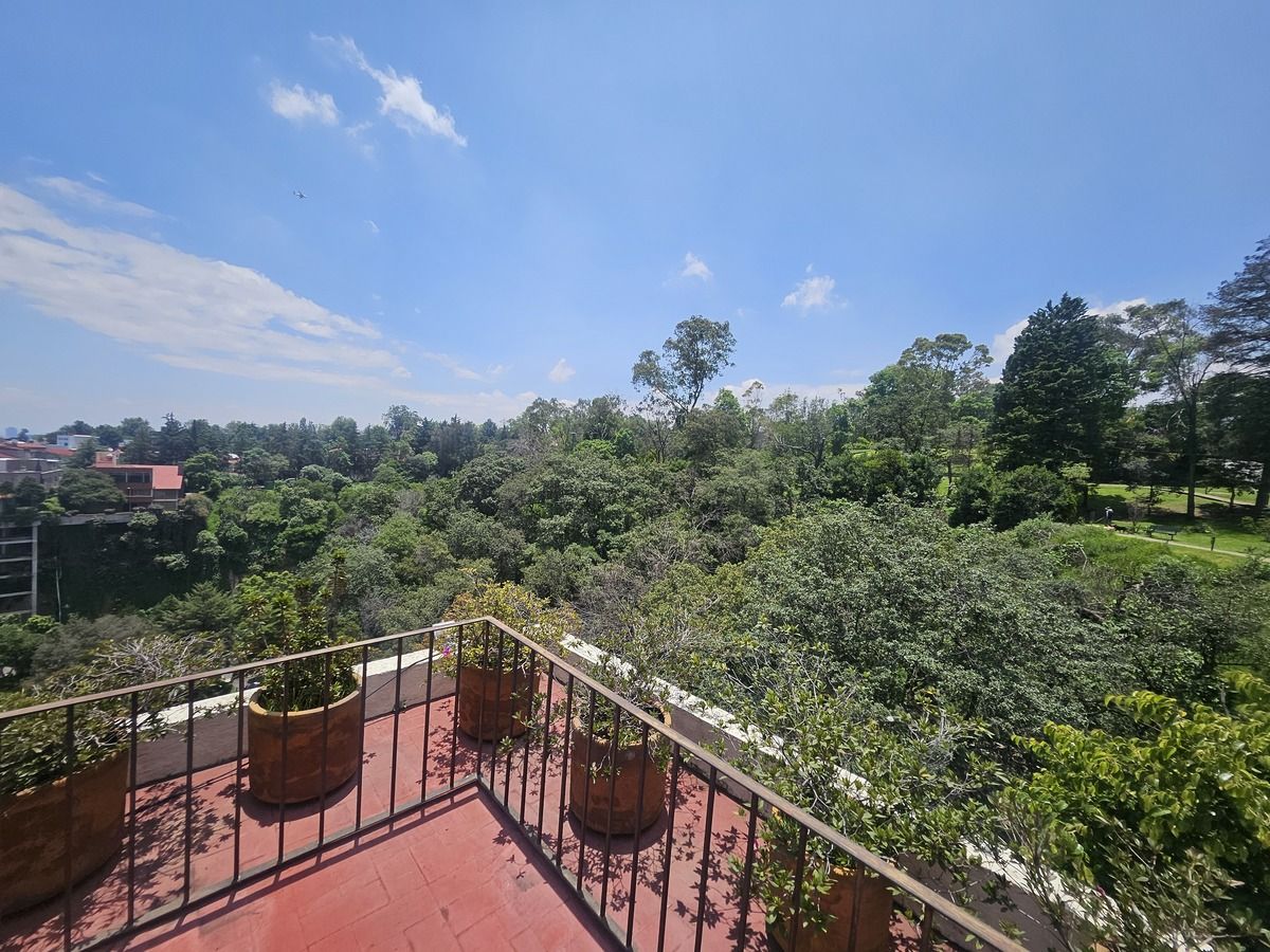 26 de 50