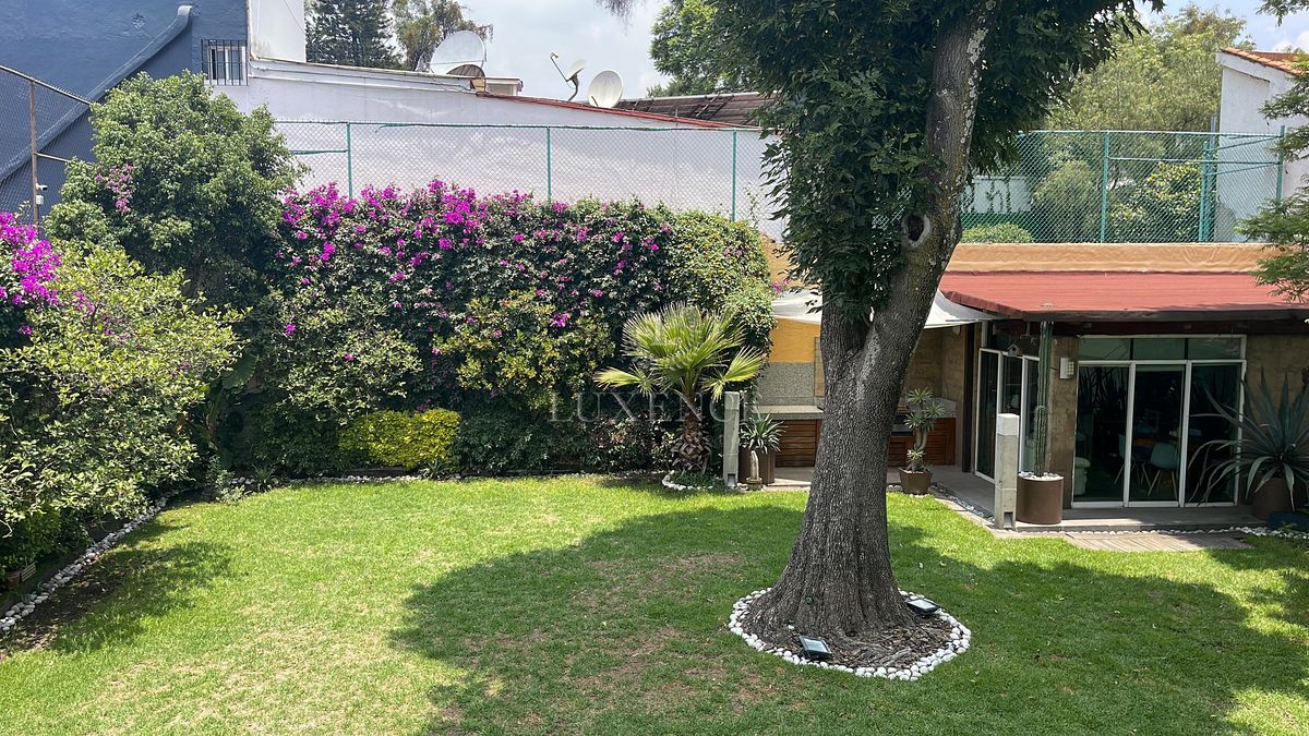 36 de 37