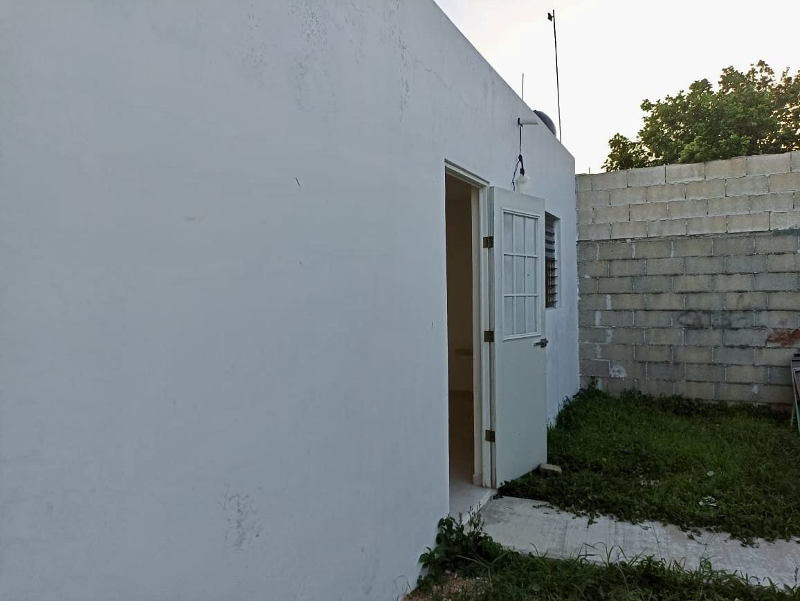 11 de 12
