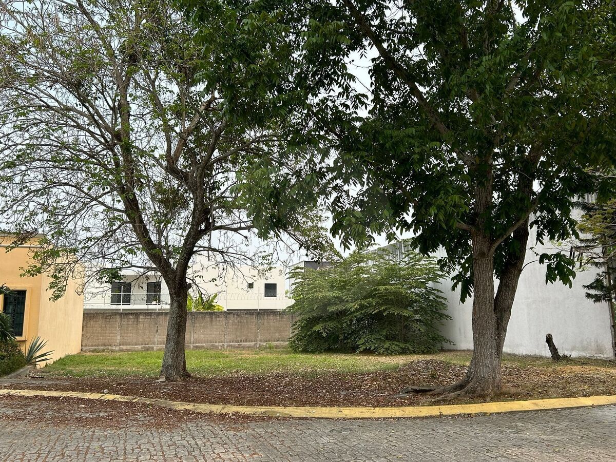 3 de 14