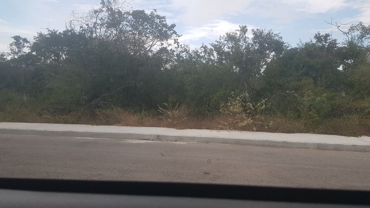 2 de 20