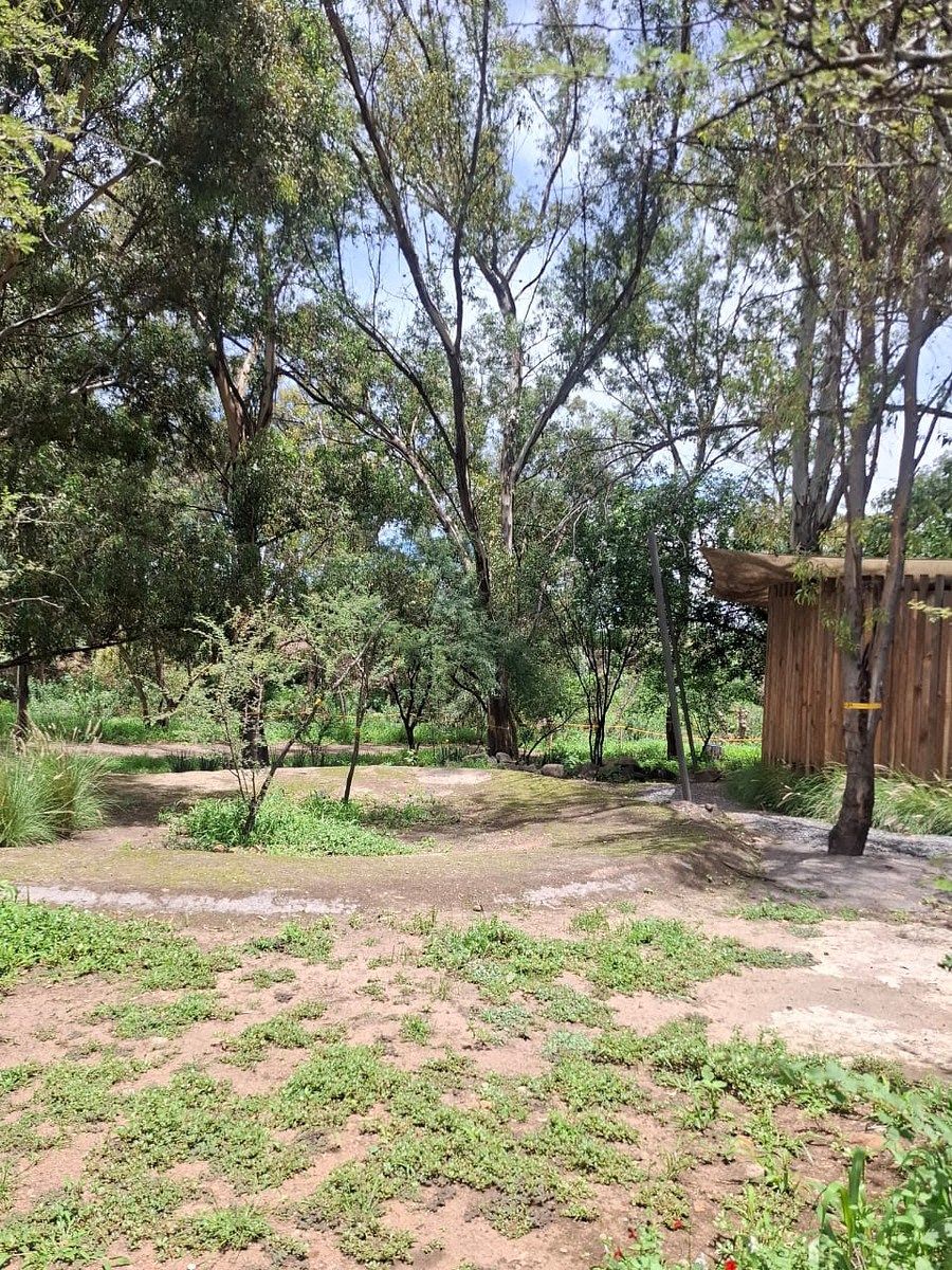 Terreno en Arroyo Hondo, Corregidora, foto 26 de 32