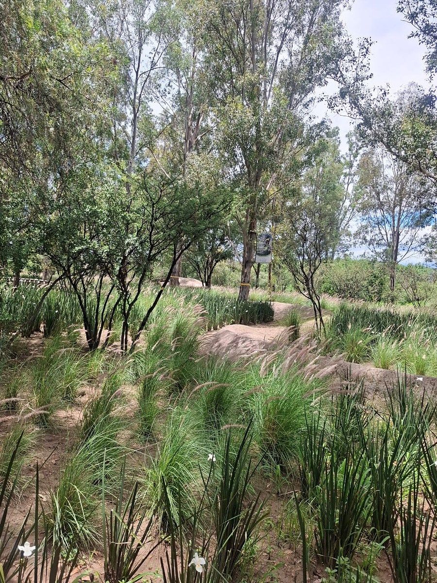 Terreno en Arroyo Hondo, Corregidora, foto 27 de 32
