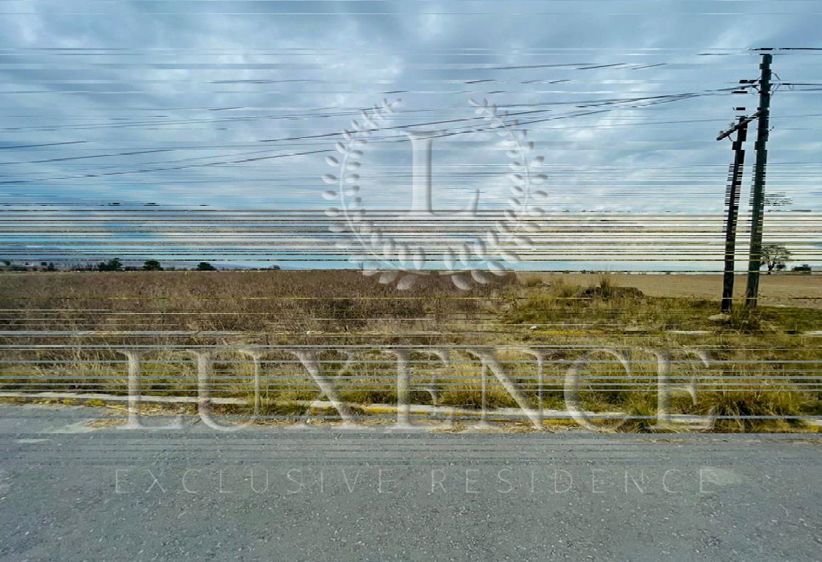 14 de 14