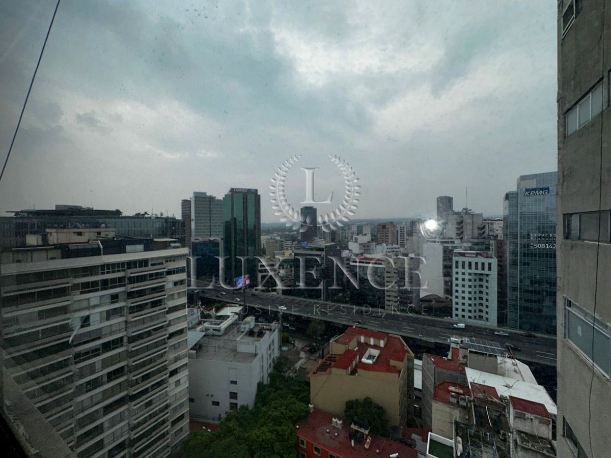 11 de 31