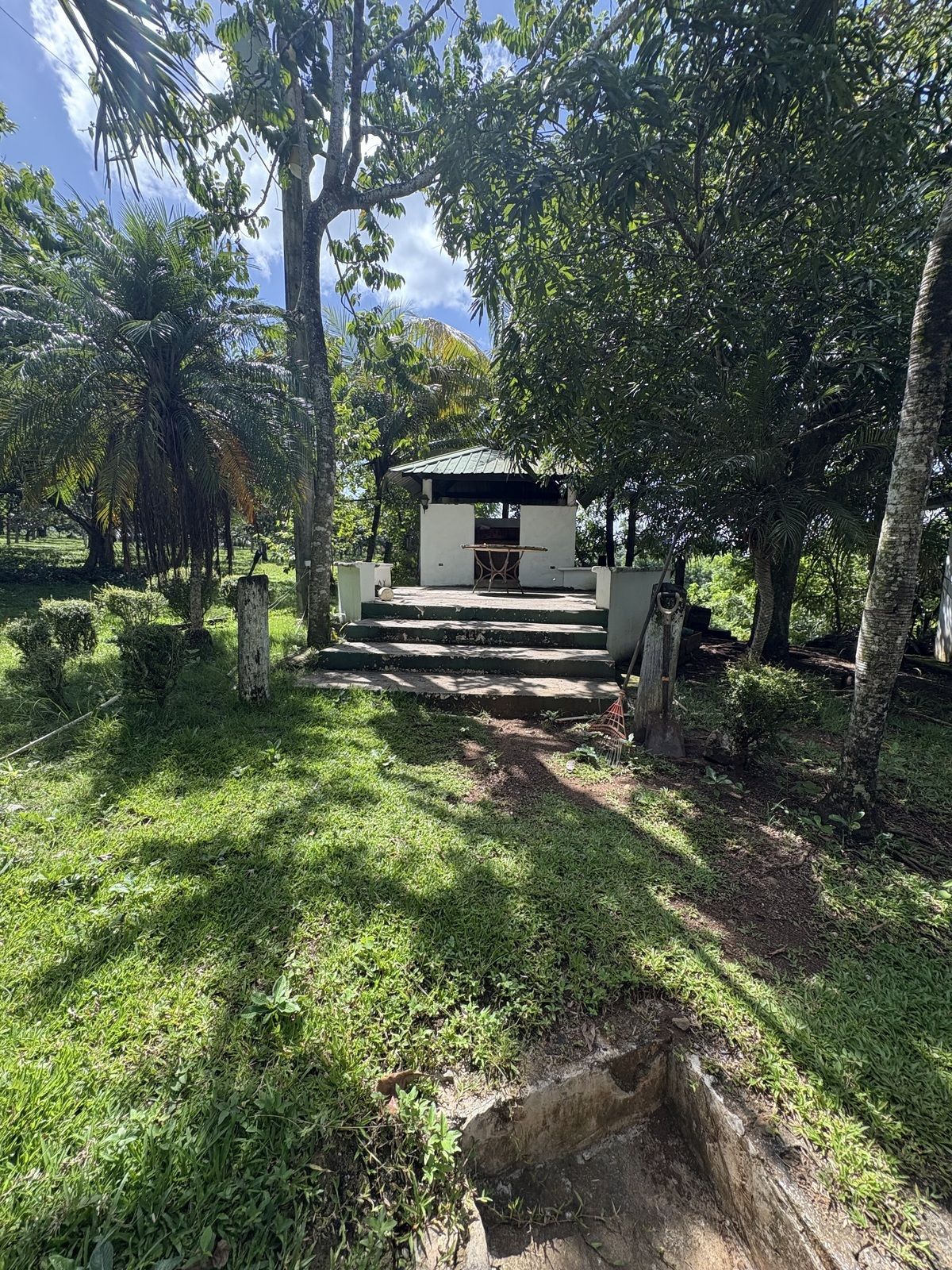 4 de 20