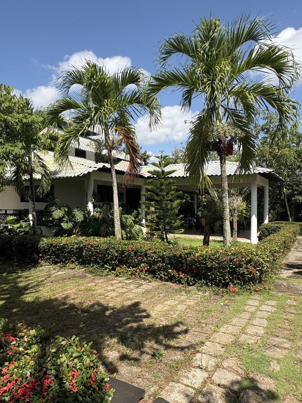 Lot in La Cuaba