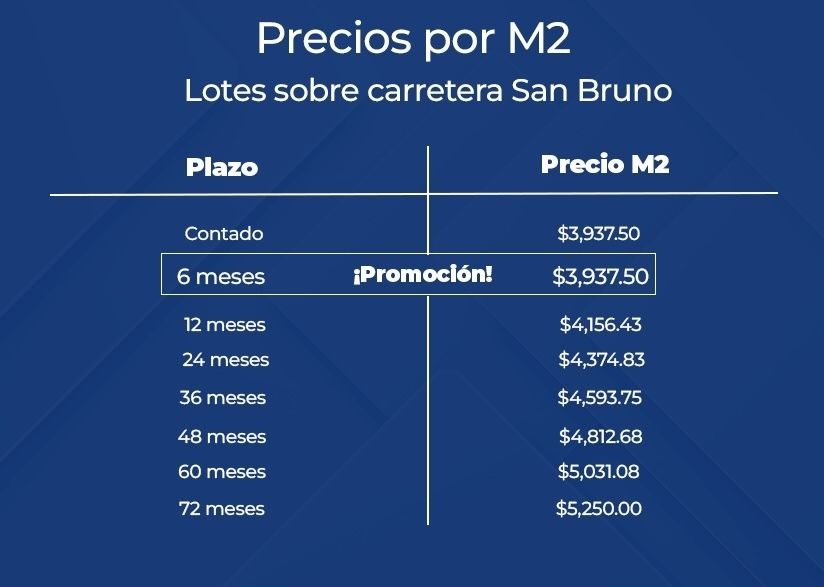 6 de 6