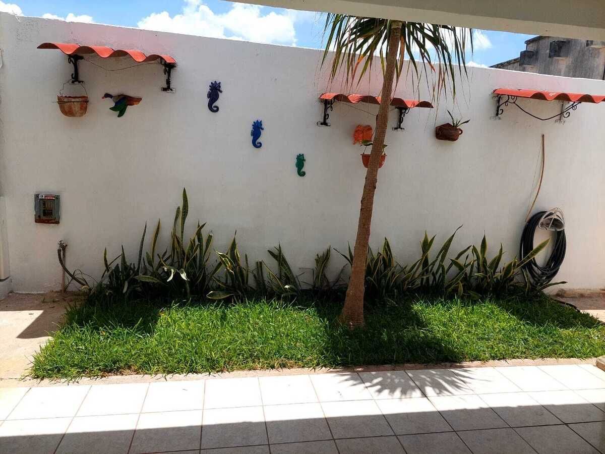 4 de 29