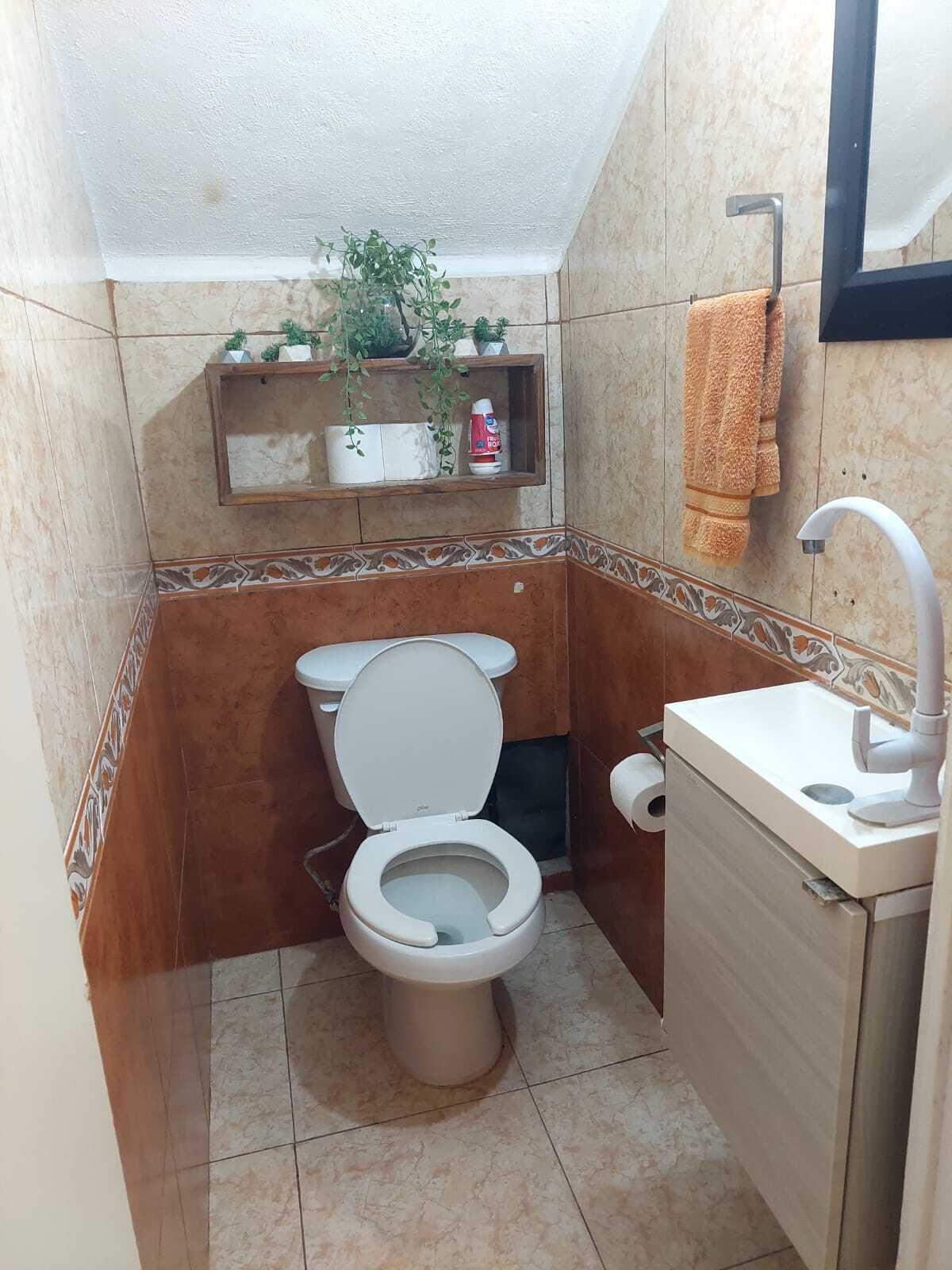 13 de 29