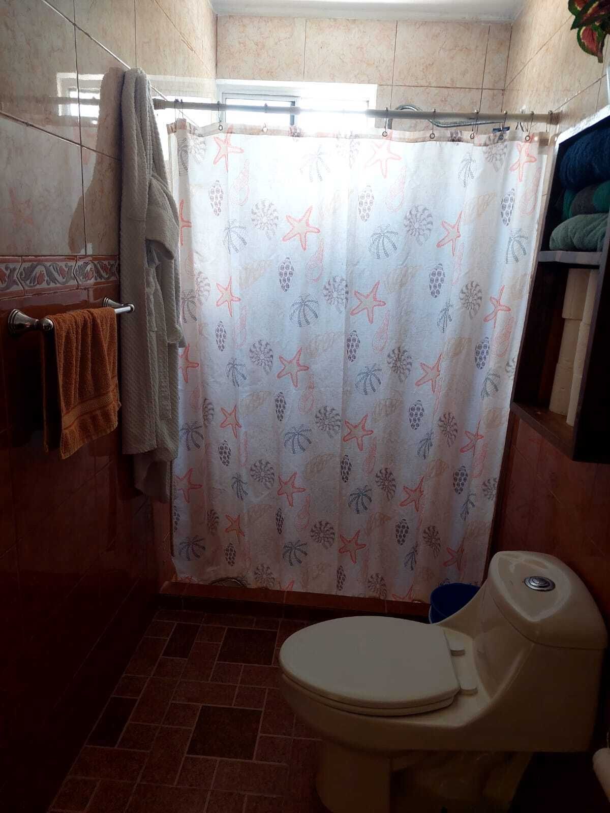 28 de 29