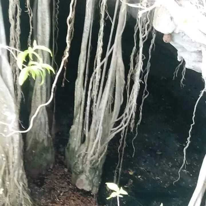 5 de 16
