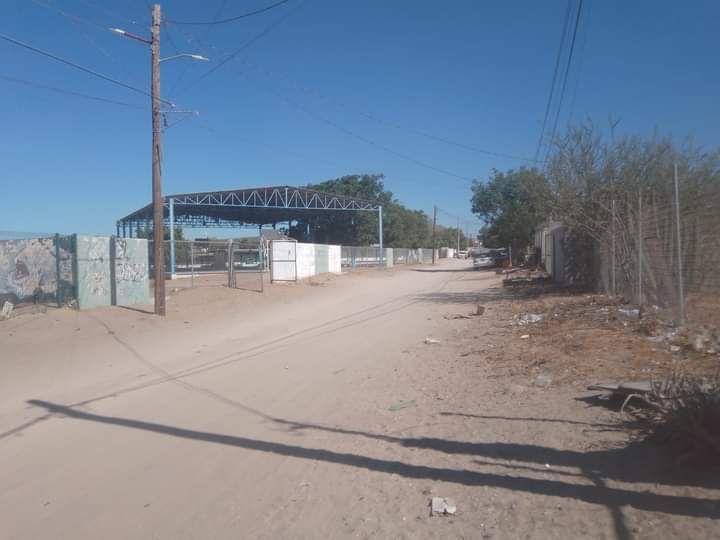 13 de 13