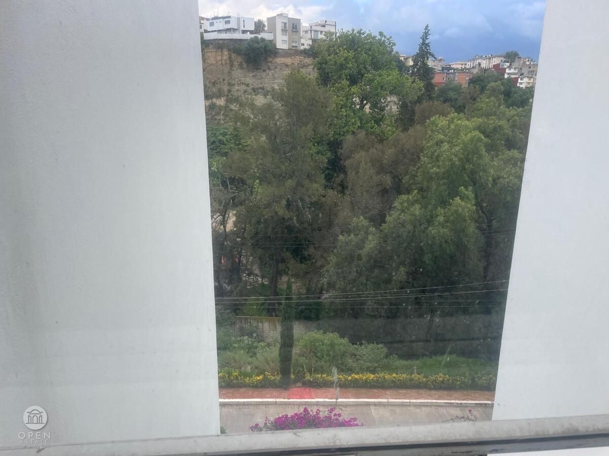 8 de 19