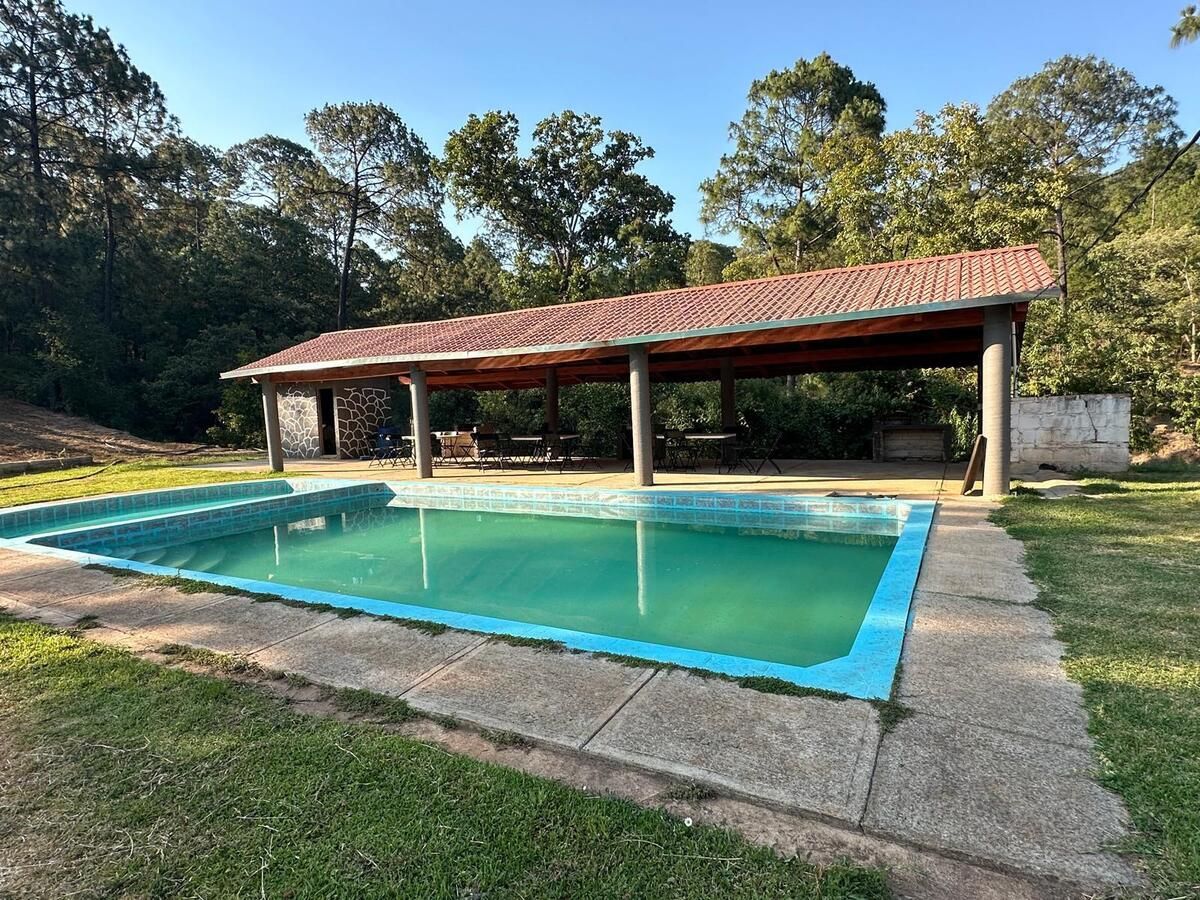 2 de 38: Terraza y Alberca
