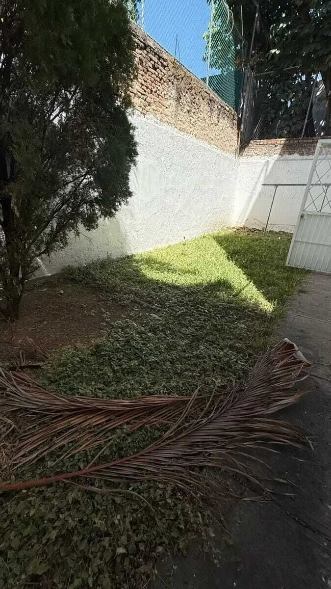 1 de 12