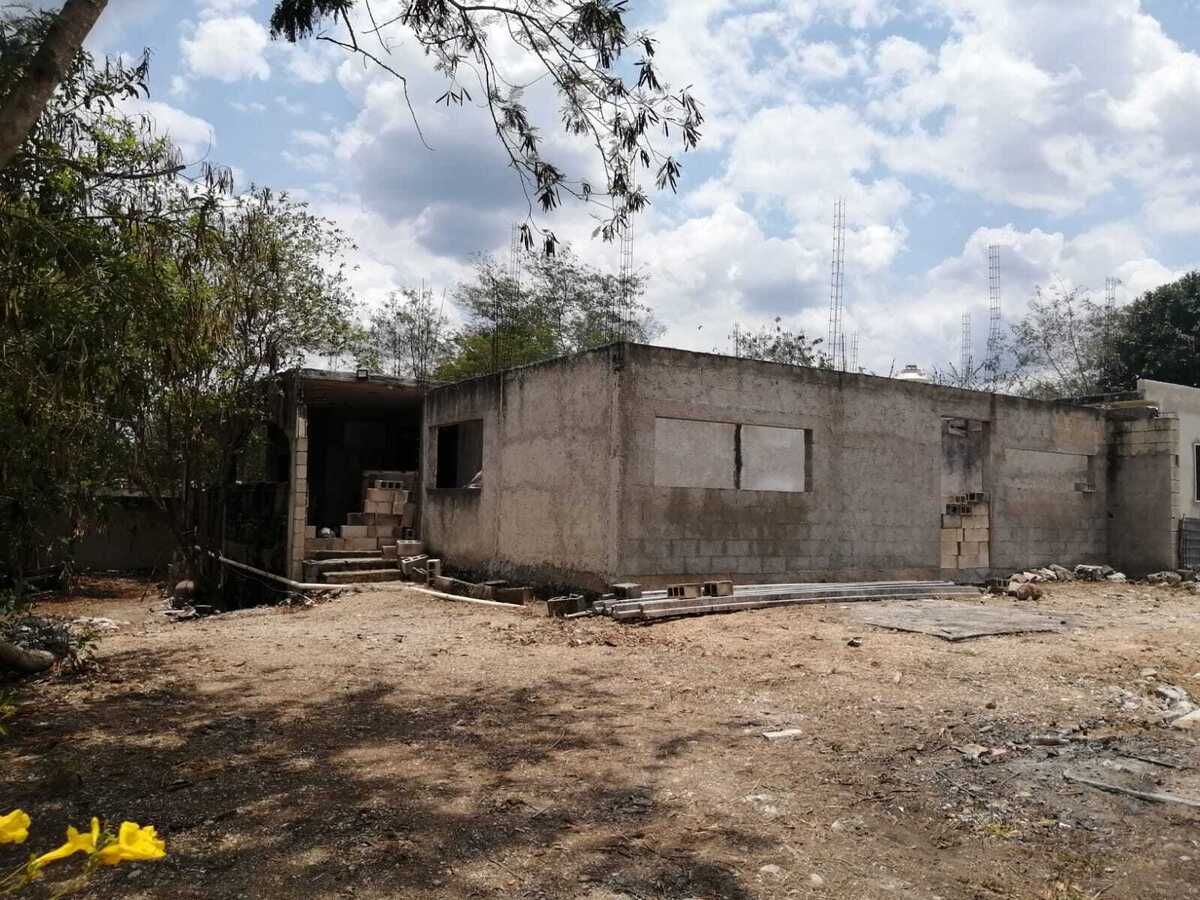 3 de 19