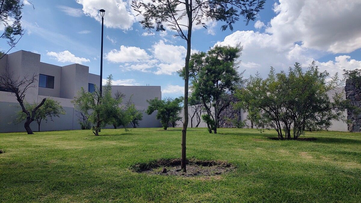 24 de 25